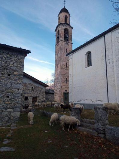 Rifugio Uschione Casa de hóspedes Chiavenna Exterior foto